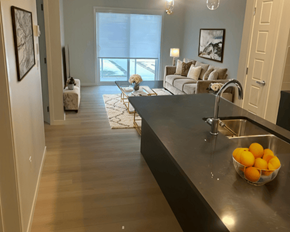 Calgary apartment for rent - A kitchen with a bowl of oranges on the counter.