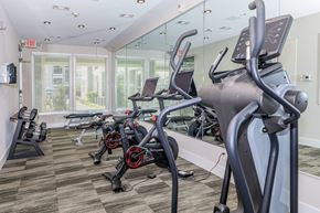 Houston apartment for rent - A gym with treadmills and elliptical machines.