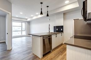 Edmonton apartment for rent - A modern kitchen with a stainless steel dishwasher and wooden cabinets.