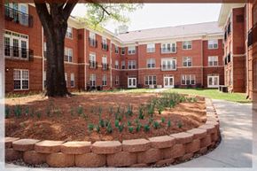 Raleigh apartment for rent - A tree in a flower bed in front of a brick building.