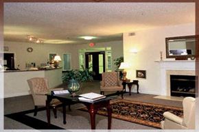 Raleigh apartment for rent - A living room with a fireplace and a couch.