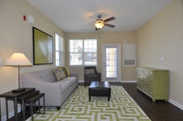 Raleigh apartment for rent - A living room with a grey couch, a black coffee table, a green side table and a green rug.