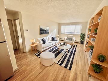 Denver apartment for rent - A living room with a white couch and a black and white rug.