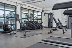 Hutto apartment for rent - A gym with treadmills, elliptical machines, and other exercise equipment.