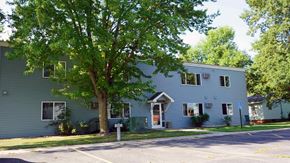 Richmond apartment for rent - A tree in front of a grey house.