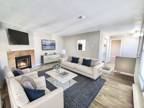 Floor plan for 1 bed, 1 bath, 725 sqft