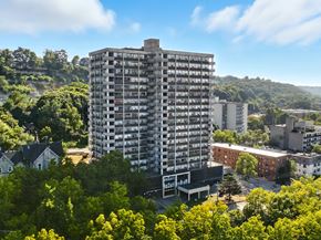 Hamilton apartment for rent - A tall building stands in the middle of a lush green forest.