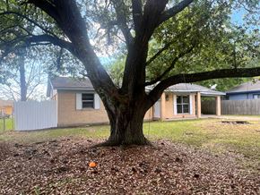 Moss Point house for rent - A tree in a yard with a house in the background.