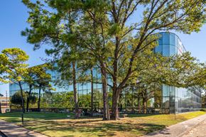 Houston apartment for rent - A modern glass building is surrounded by trees.