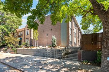Denver apartment for rent - A tree is in front of a building.