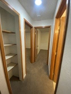 Anchorage apartment for rent - A hallway with a series of open doors and shelves.