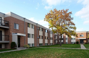Moorhead apartment for rent - A tree with yellow leaves stands in front of apartment buildings.