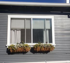 Oakland apartment for rent - A window with white blinds and two hanging flower boxes.