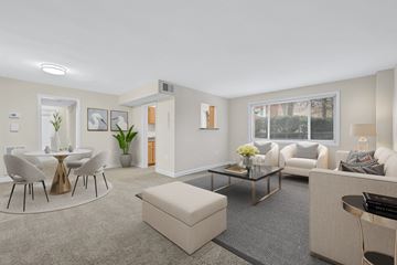 Silver Spring apartment for rent - A living room with a grey carpet and furniture.