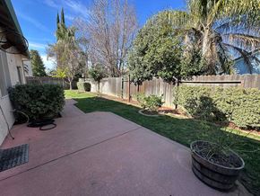 Roseville house for rent - A backyard with a paved walkway, a wooden fence, and a green tree.