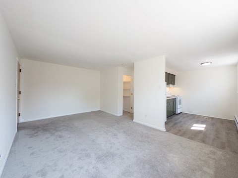 Floor plan for studio, 1 bath, 575 sqft