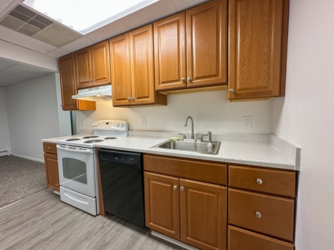 Floor plan for 2 beds, 1 bath