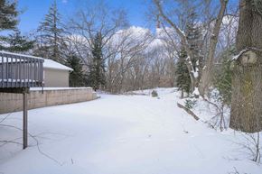 Grand Rapids house for rent - A snowy backyard with a fence and trees.