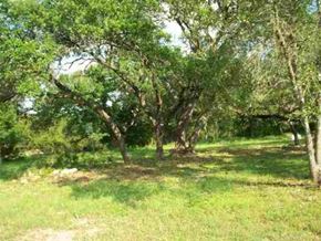 Spring Branch house for rent - A grassy area with trees in the background.