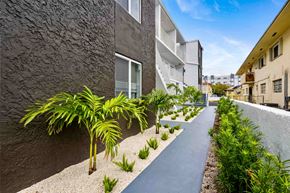 Miami apartment for rent - A pathway with plants on either side leads to a building.