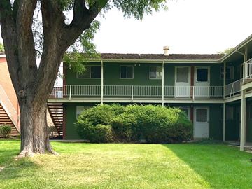 Littleton apartment for rent - A green building with a tree in front.
