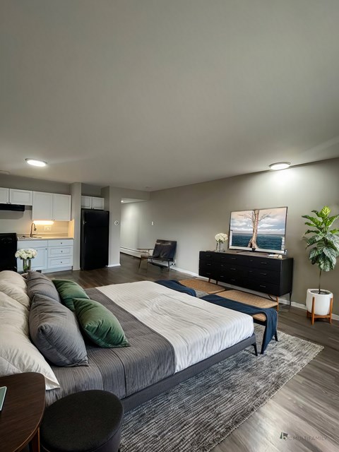 Floor plan for studio, 1 bath, 525 sqft