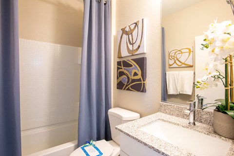 Floor plan for 1 bed, 1 bath, 851 sqft