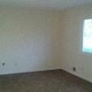 Circle Pines apartment for rent - A room with a window and a brown carpet.