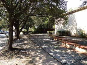 Dallas apartment for rent - A tree is in the shade of a building.