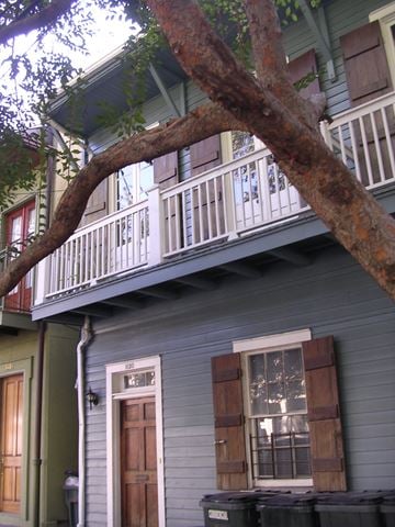 New Orleans apartment for rent - A tree branch hangs over a porch.