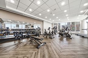 Hamilton apartment for rent - A spacious gym with a variety of equipment including treadmills, weights, and exercise bikes.
