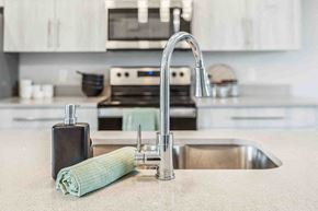Fort Saskatchewan apartment for rent - A kitchen sink with a green towel and soap dispenser.