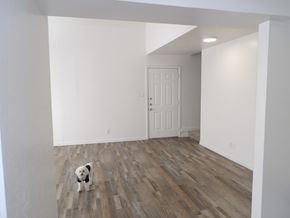 Dallas apartment for rent - A dog is standing in a room with wooden floors and white walls.