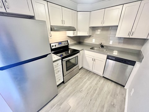 Floor plan for 1 bed, 1 bath, 550 sqft