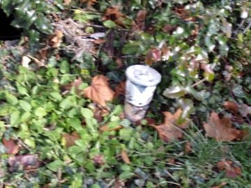 Pullman apartment for rent - A white object is sticking out of the ground.