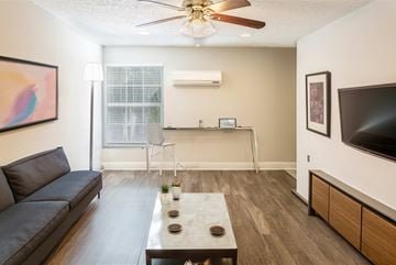 Tampa apartment for rent - A living room with a black couch and a ceiling fan.