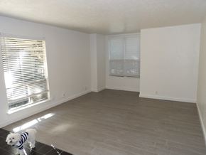 Dallas apartment for rent - A dog in a striped sweater is standing in a room with a large window and a wooden floor.