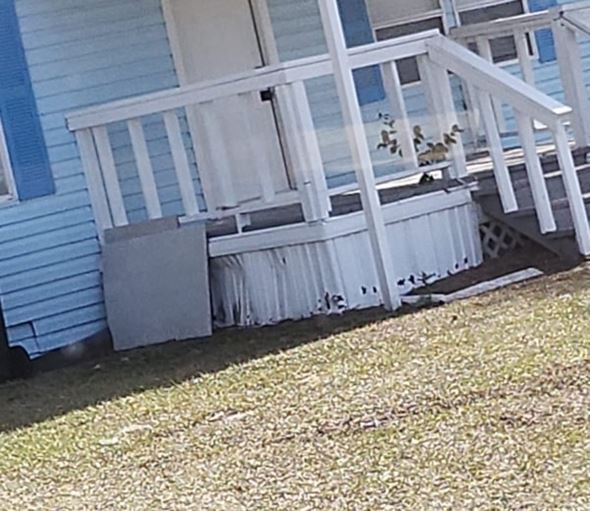 Lakeland apartment for rent - A blue house with a white porch and a white railing.
