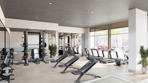 Ottawa apartment for rent - A gym with treadmills, weights, and exercise equipment.