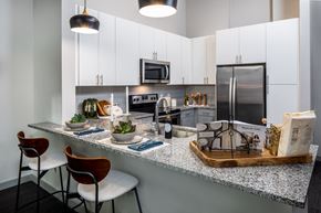 Houston apartment for rent - Kitchen Standard in the Heights