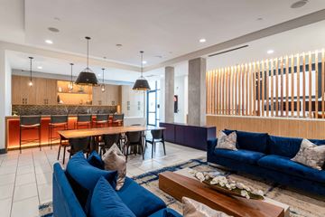Houston apartment for rent - A modern living room with a blue sofa and wooden accents.