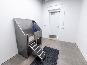 Dog wash station