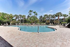 Bradenton house for rent - A pool surrounded by palm trees and a brick patio.