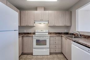 Edmonton apartment for rent - A kitchen with a white oven and sink.