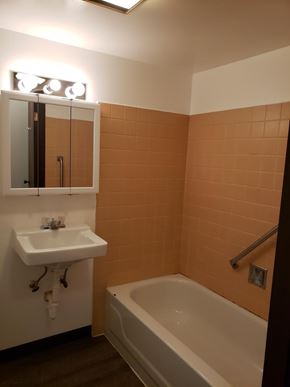 Clintonville apartment for rent - A bathroom with a white sink and a bathtub.
