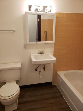 Clintonville apartment for rent - A white toilet sits next to a sink in a bathroom.
