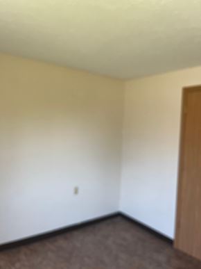 Delphos apartment for rent - A room with a brown carpet and a white wall.