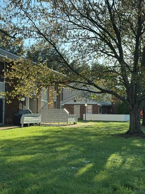 Minerva apartment for rent - A tree with green leaves stands in a grassy area in front of a house.