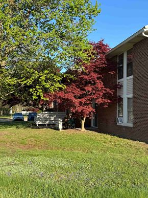 Minerva apartment for rent - A tree with red leaves is in front of a brick building.