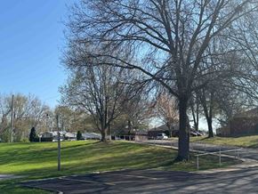 Minerva apartment for rent - A tree with no leaves stands in a grassy area next to a road.